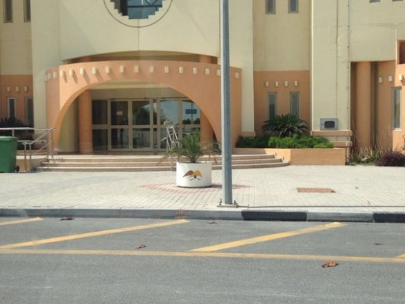 Mesaieed International Preparatory Secondary School